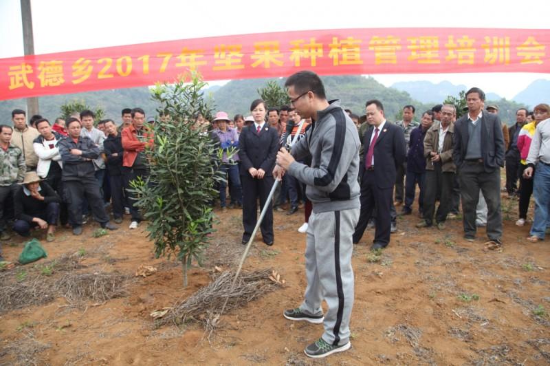 南亚电子面试试题解析与探讨分享