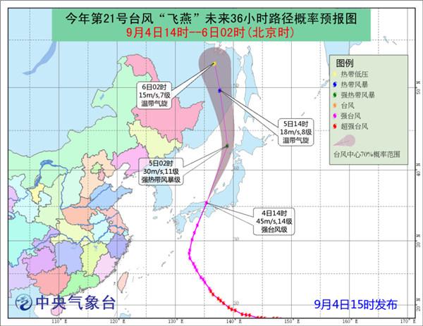 台风飞燕最新动态，影响与全面应对措施解析