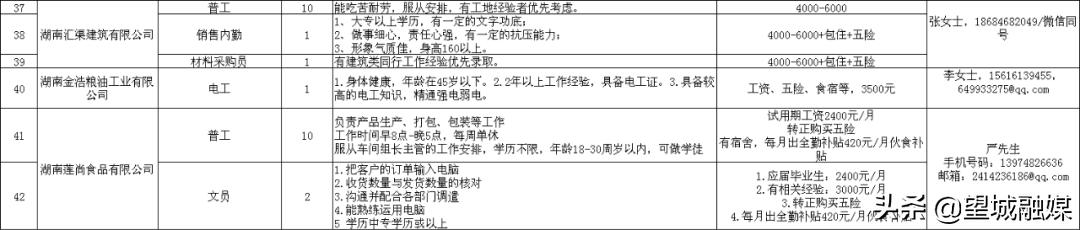 长沙市望城区最新招聘动态及其社会影响分析