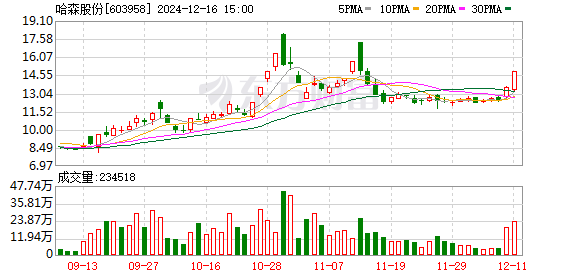 哈森股份最新动态全面解析