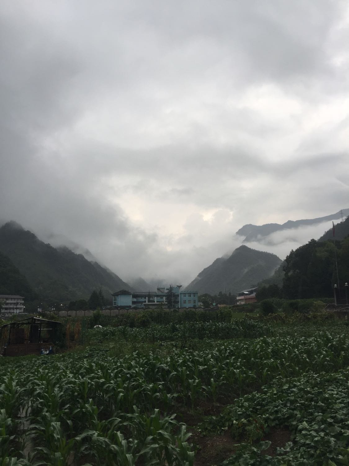 建峰乡天气预报更新通知