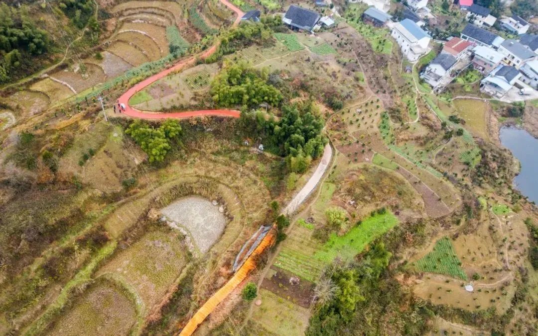 大坪村新项目，乡村振兴的新动力