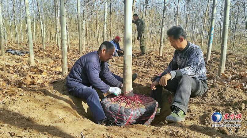 东营市扶贫开发领导小组办公室最新招聘信息发布与动态更新