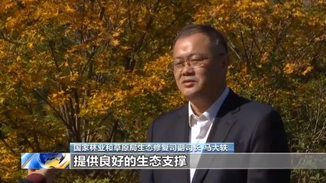 汉中市国土资源局最新发展规划概览