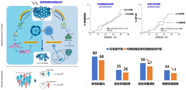 中山区科学技术和工业信息化局发展规划展望