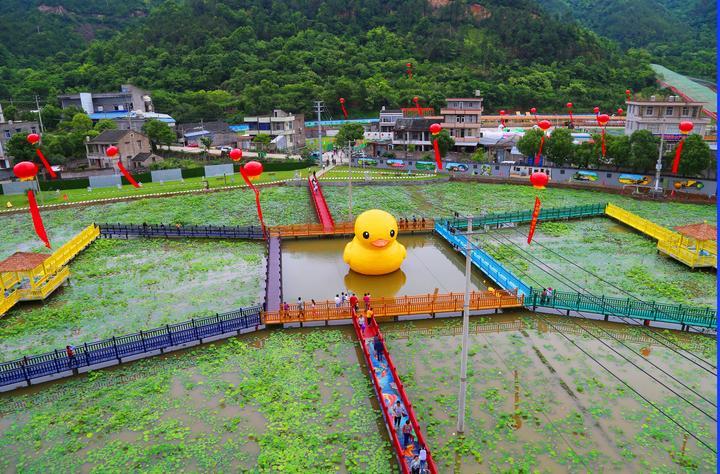 干江镇新项目，地方发展的强大引擎驱动力