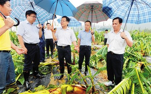 防城区那梭镇领导最新概况简介