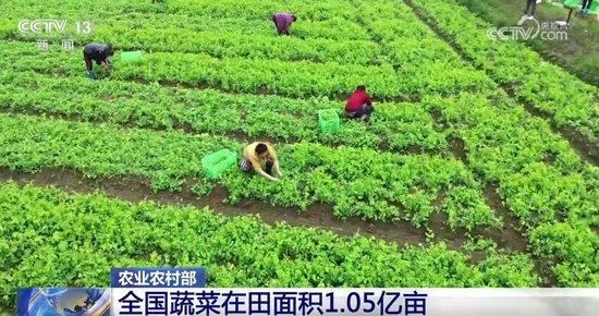 菜子口村民委员会天气预报更新通知