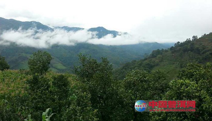 勐撒镇光木林村与丙令村的天气变化预测报告