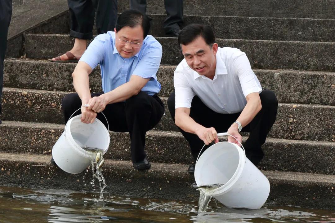 抚州市中级人民法院新项目助力司法进步与现代化建设加速前行